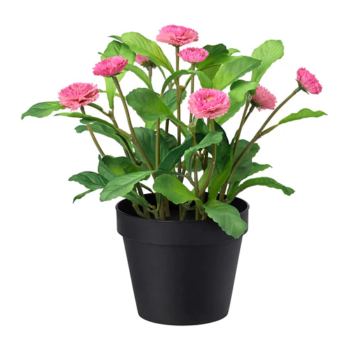 FEJKA - Chậu hoa cúc giả/Artificial potted plant