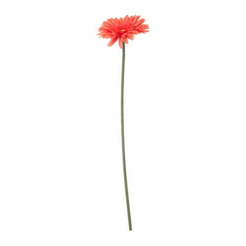 SMYCKA - Hoa đồng tiền giả 50cm/Artificial flower, Gerbera