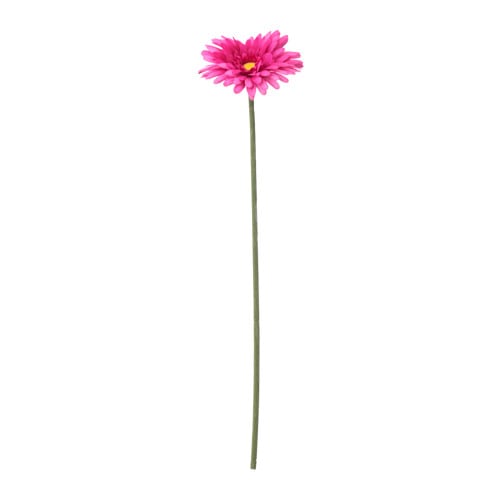 SMYCKA - Hoa đồng tiền giả 50cm/Artificial flower, Gerbera