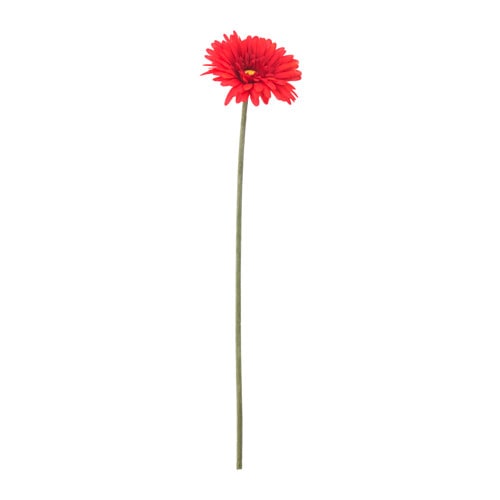 SMYCKA - Hoa đồng tiền giả 50cm/Artificial flower, Gerbera