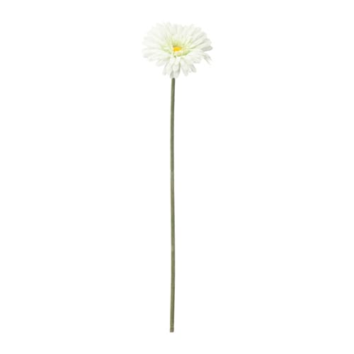 SMYCKA - Hoa đồng tiền giả 50cm/Artificial flower, Gerbera