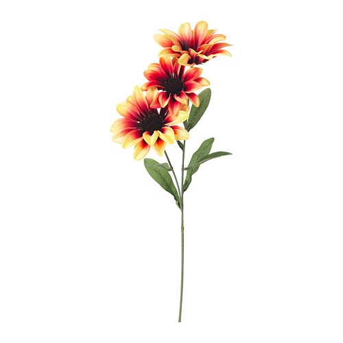 SMYCKA- Hoa cúc daisy 53cm/Artificial flower, African daisy